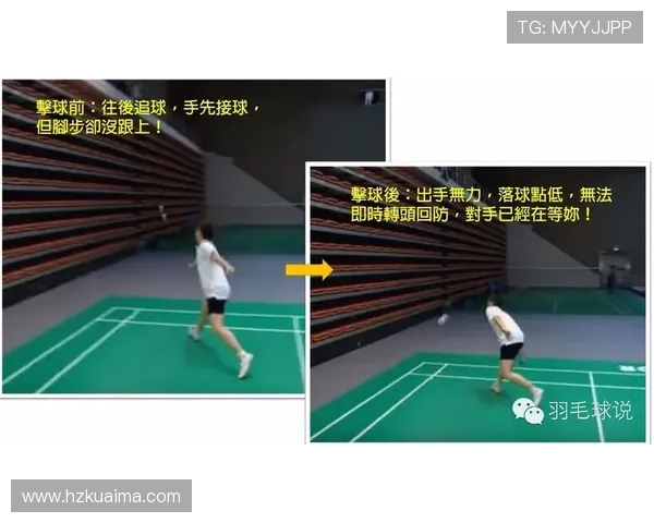 杭州羽毛球队区域防守分析与战术调整探讨