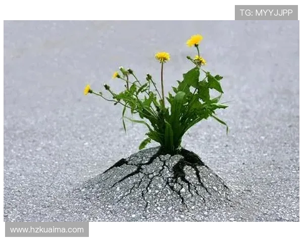 火花与风暴的较量究竟谁更强大探讨自然力量的对比与影响