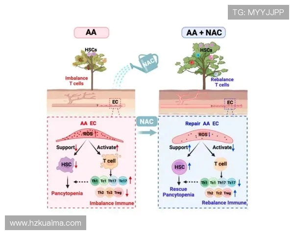 北京排球队耐力表现数据分析揭示训练效果与比赛策略的关系